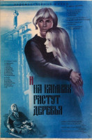 И на камнях растут деревья (1985)