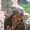 Бессмертные (1974)