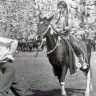 Команчи (1956) Команчи (1956)