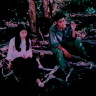 В тихом краю птицы поют (1986) В тихом краю птицы поют (1986)